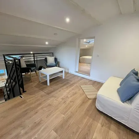 Appartement Duplex Sous Les Toits *